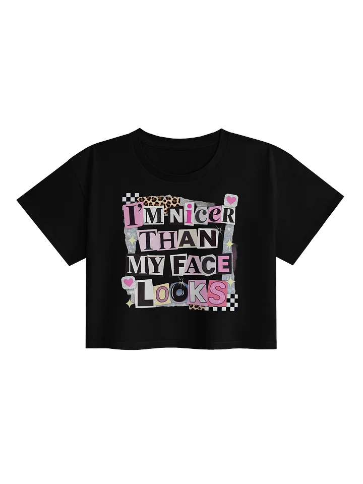 Nicer Than My Face Looks Crop Top product image (5)