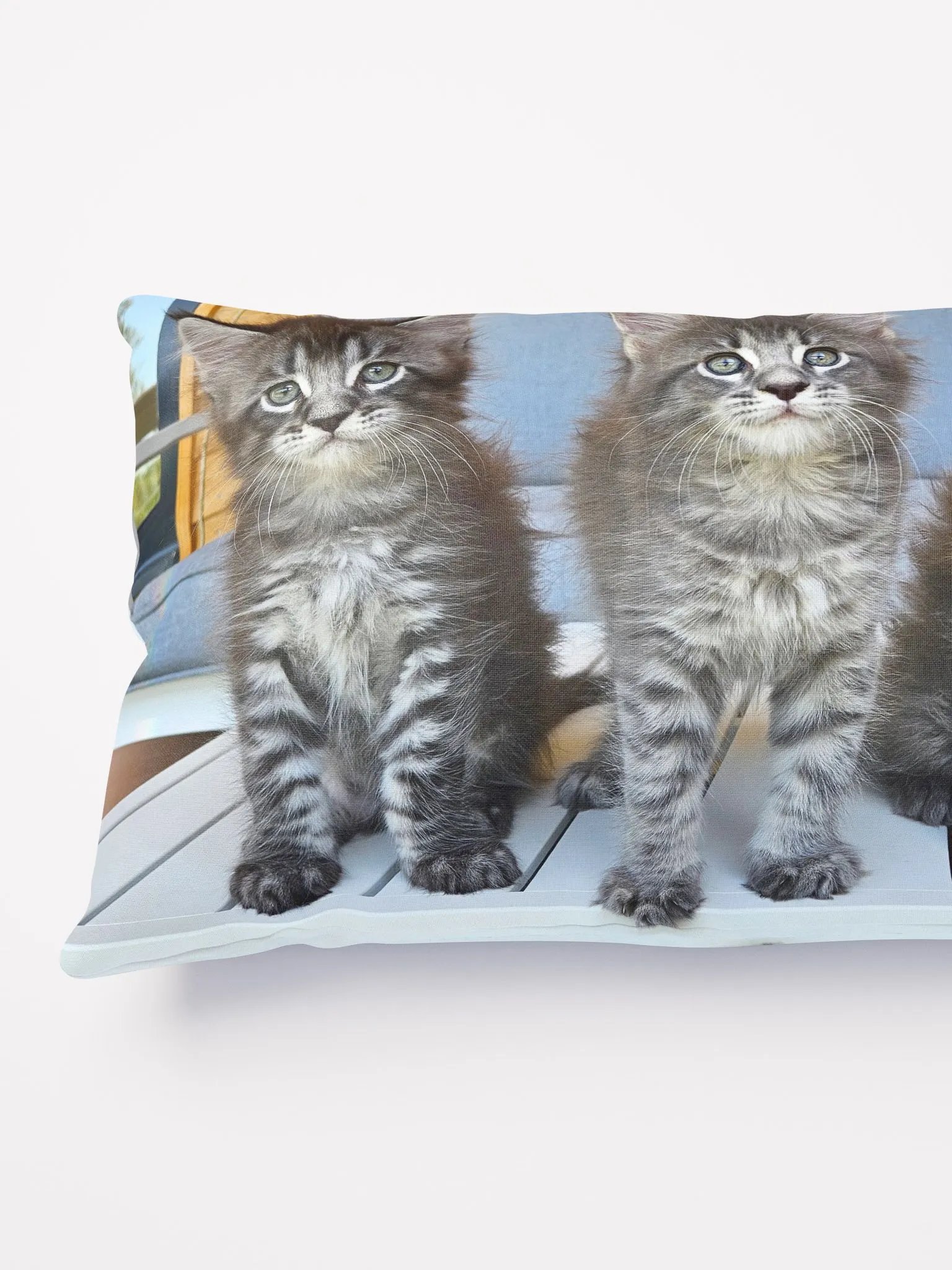 Luna's Kittens - Pillow product image (4)