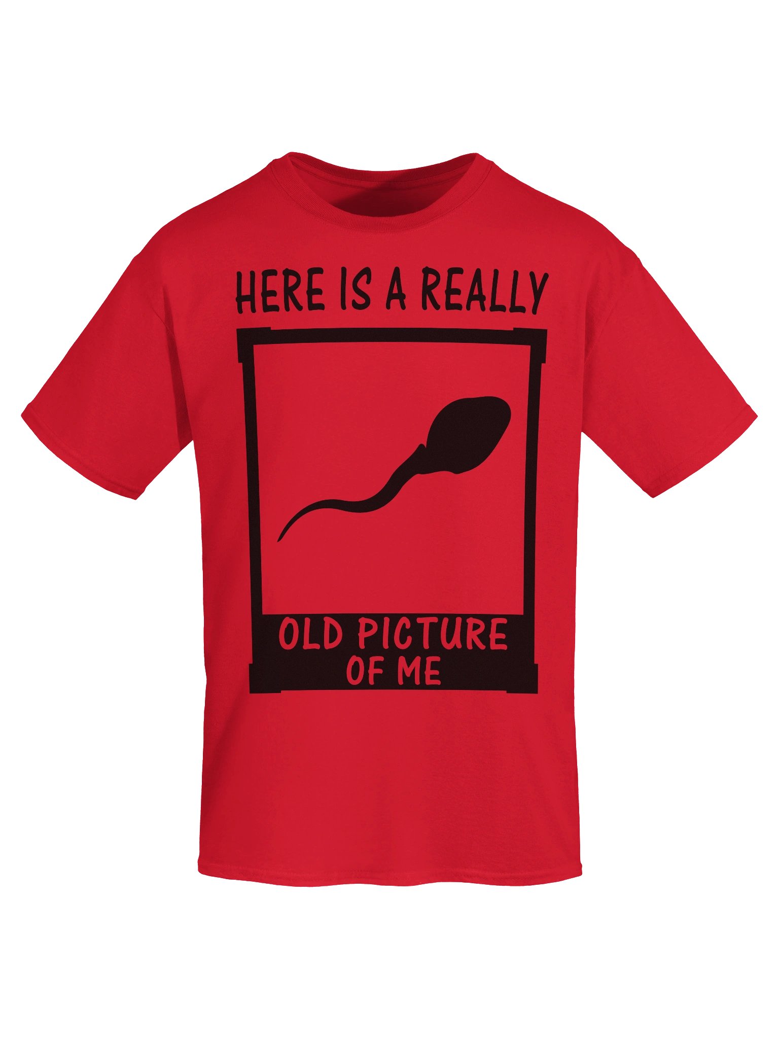 Here Is A Really Old Picture Of Me Shirt product image (9)