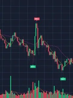 Climactic Action Bar Reversal Indicator product image (2)