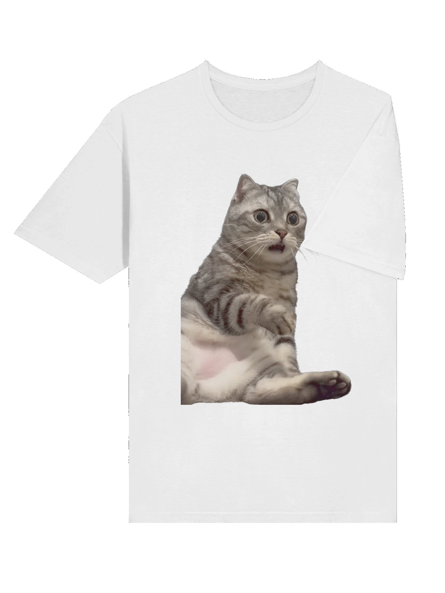 Scared Cat Meme T-Shirt product image (6)