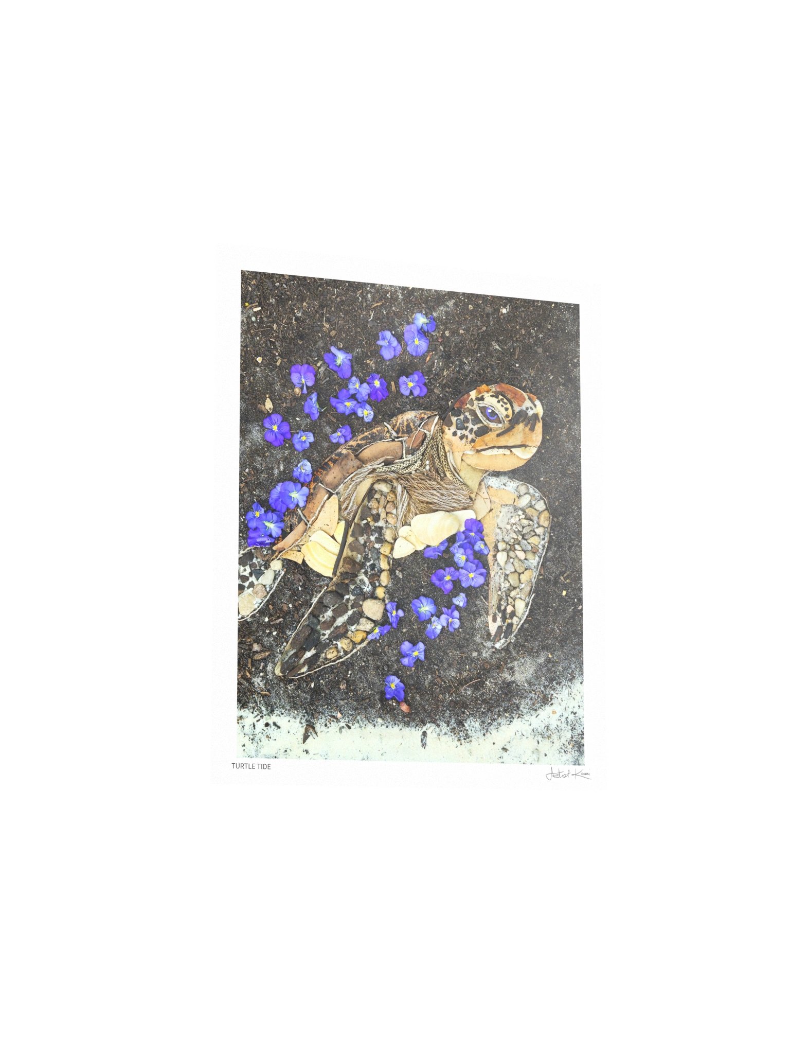 TURTLE TIDE | Nature Art Print product image (3)