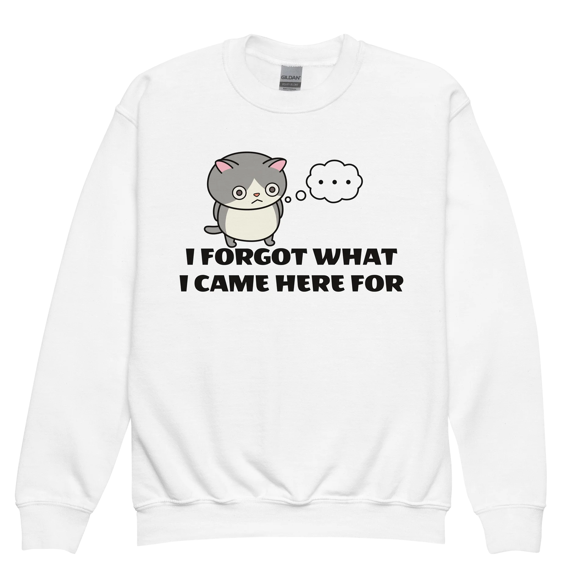 Short-term Memory Loss 1 - Unisex Youth Sweatshirt product image (1)