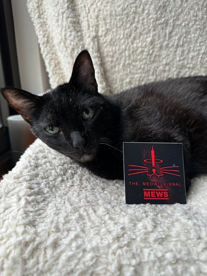 The Meow! Signal sticker product image (2)