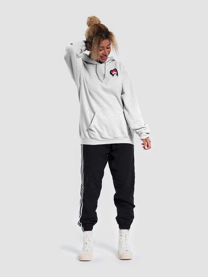 CoinFuryTV Branded Hoodie product image (2)
