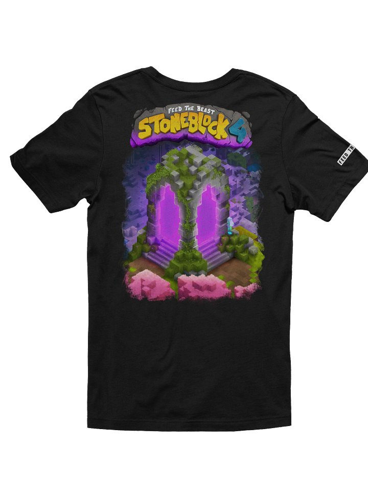 SB4 T-Shirt: FTB product image (2)