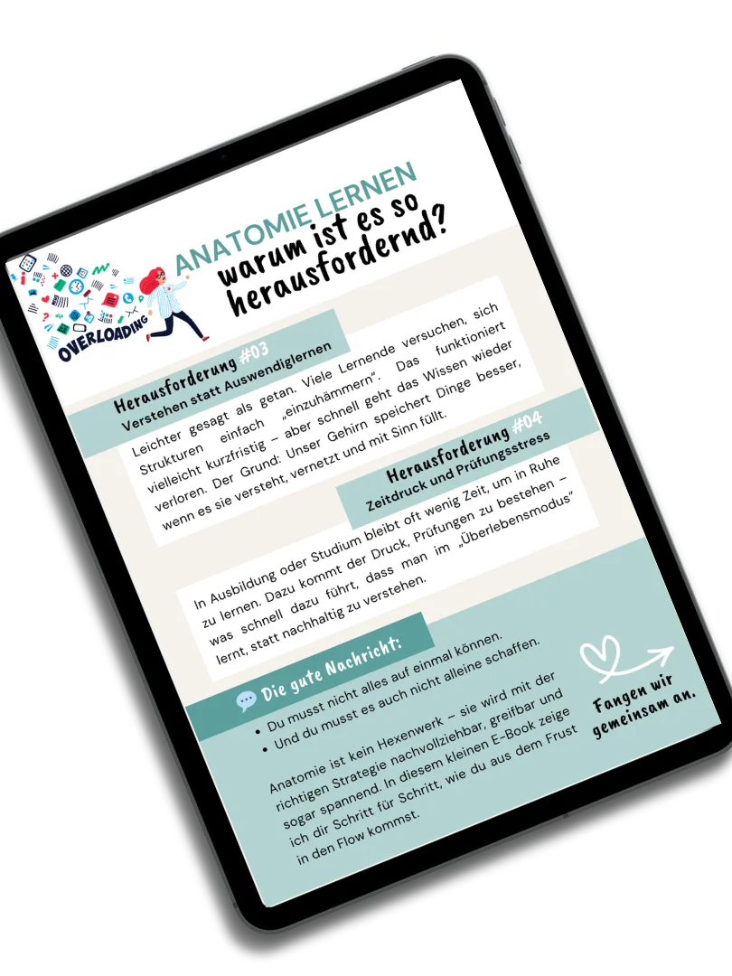 E-Book: Schritt für Schritt zum Anatomie-Profi product image (3)