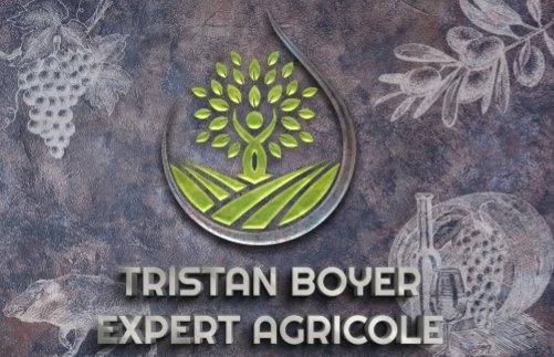 Cartes de visite sur mesure product image (7)