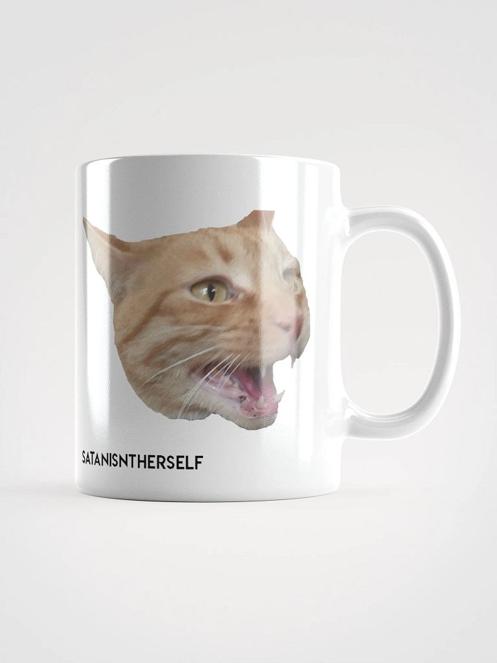 The Duality of Cat product image (1)