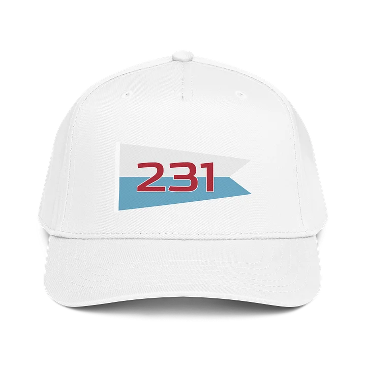 231 Pennant Cap product image (3)