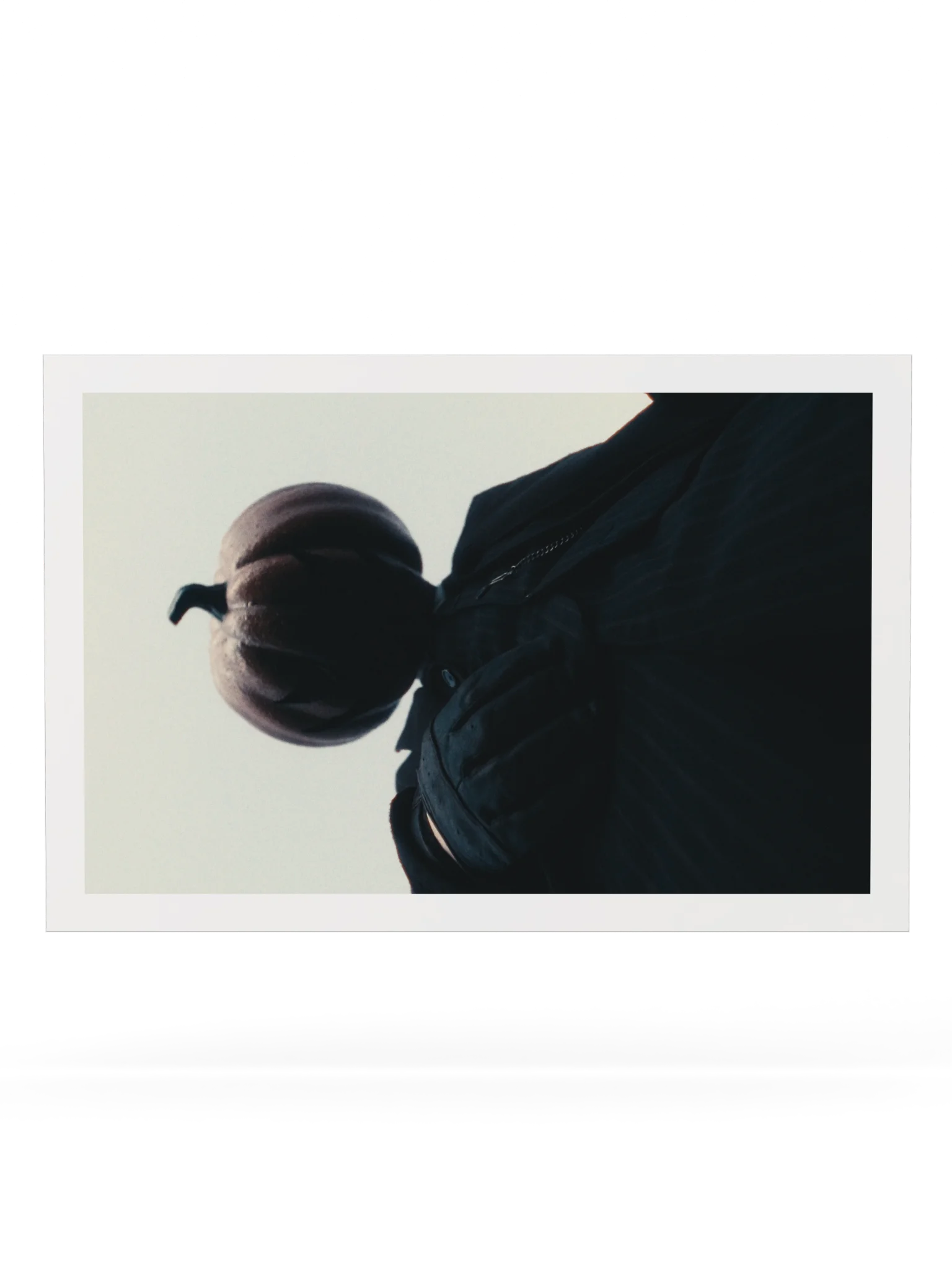 THE PUMPKING product image (11)