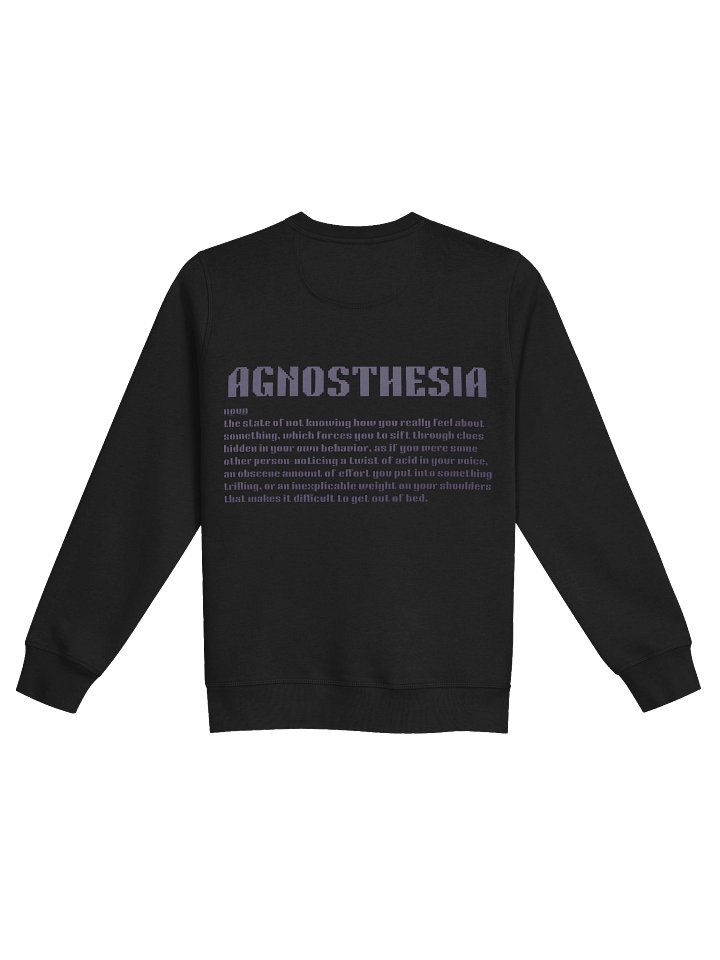 AGNOSTHESIA Sweater product image (2)