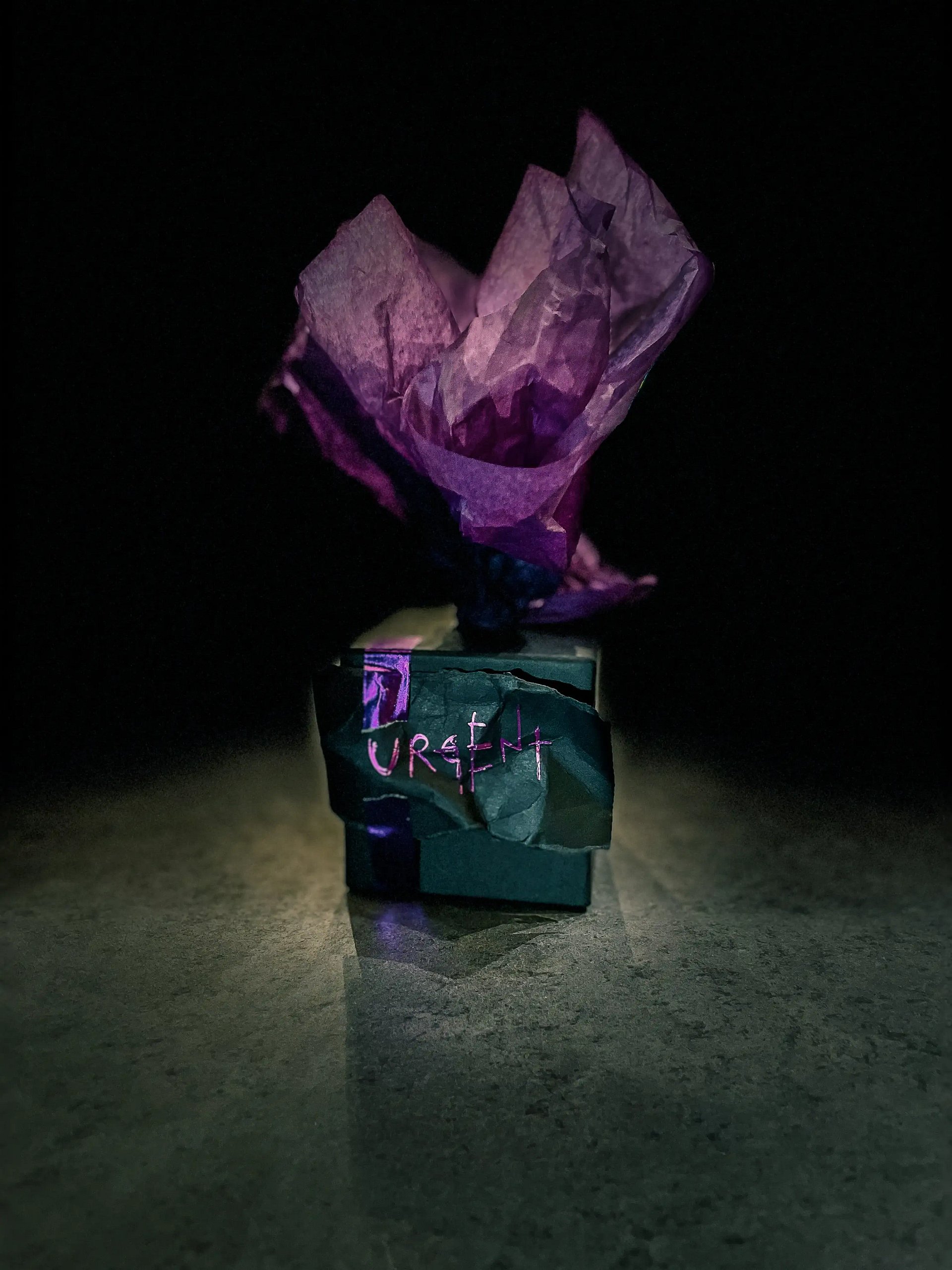 Nerodecò was here! product image (1)