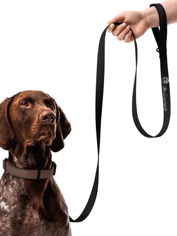 N.U.E. Signature Pet Leash product image (1)