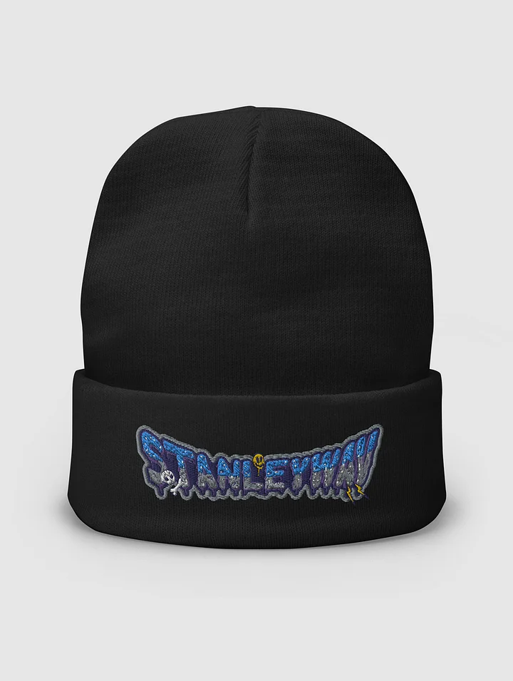StanleyWav Logo Beanie product image (2)