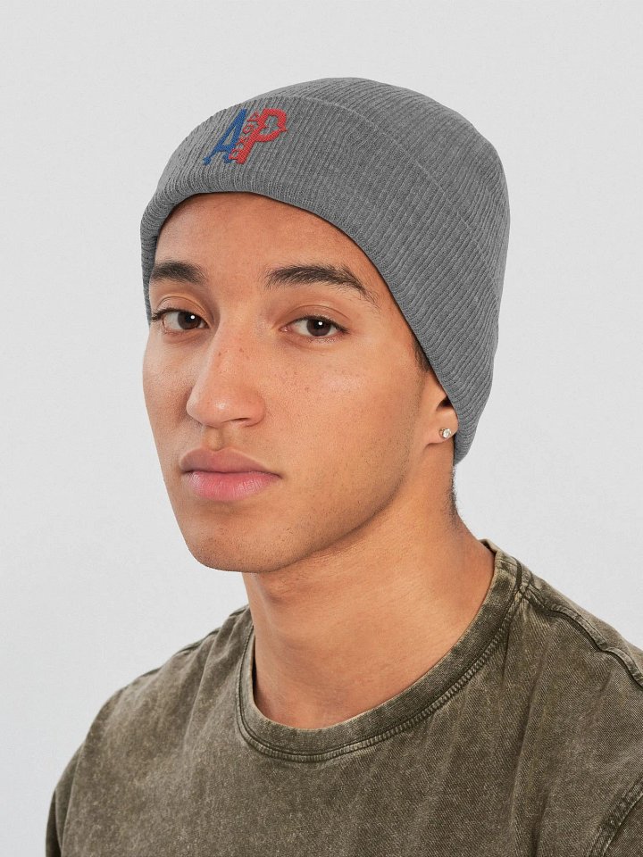 AP Ribbed Beanie product image (1)