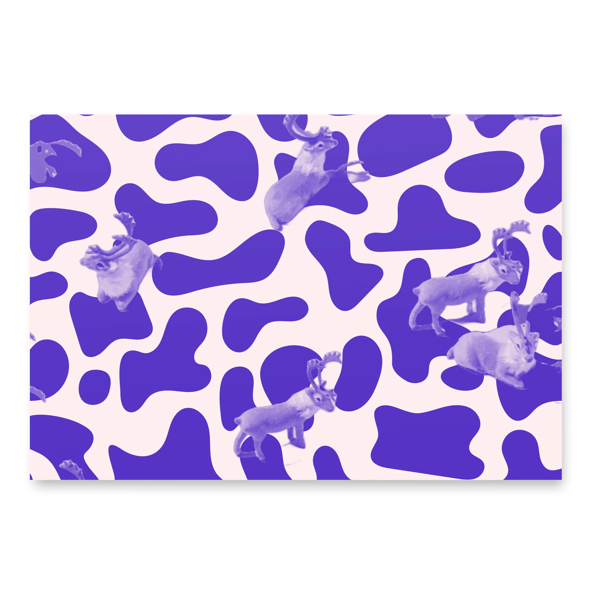 ROOTS pattern Wrapping Paper product image (2)