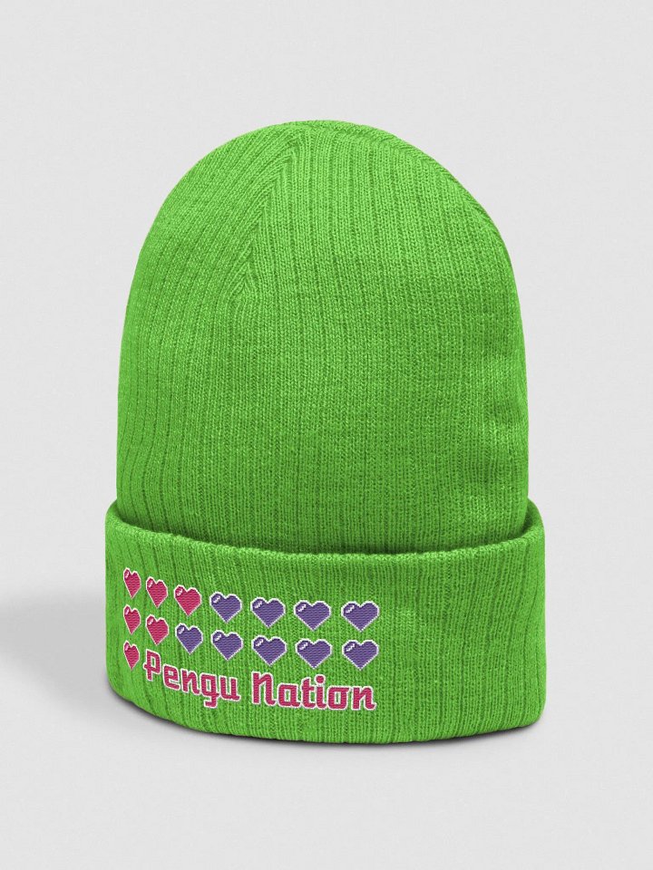 Pengu Nation Premium Beanie product image (2)