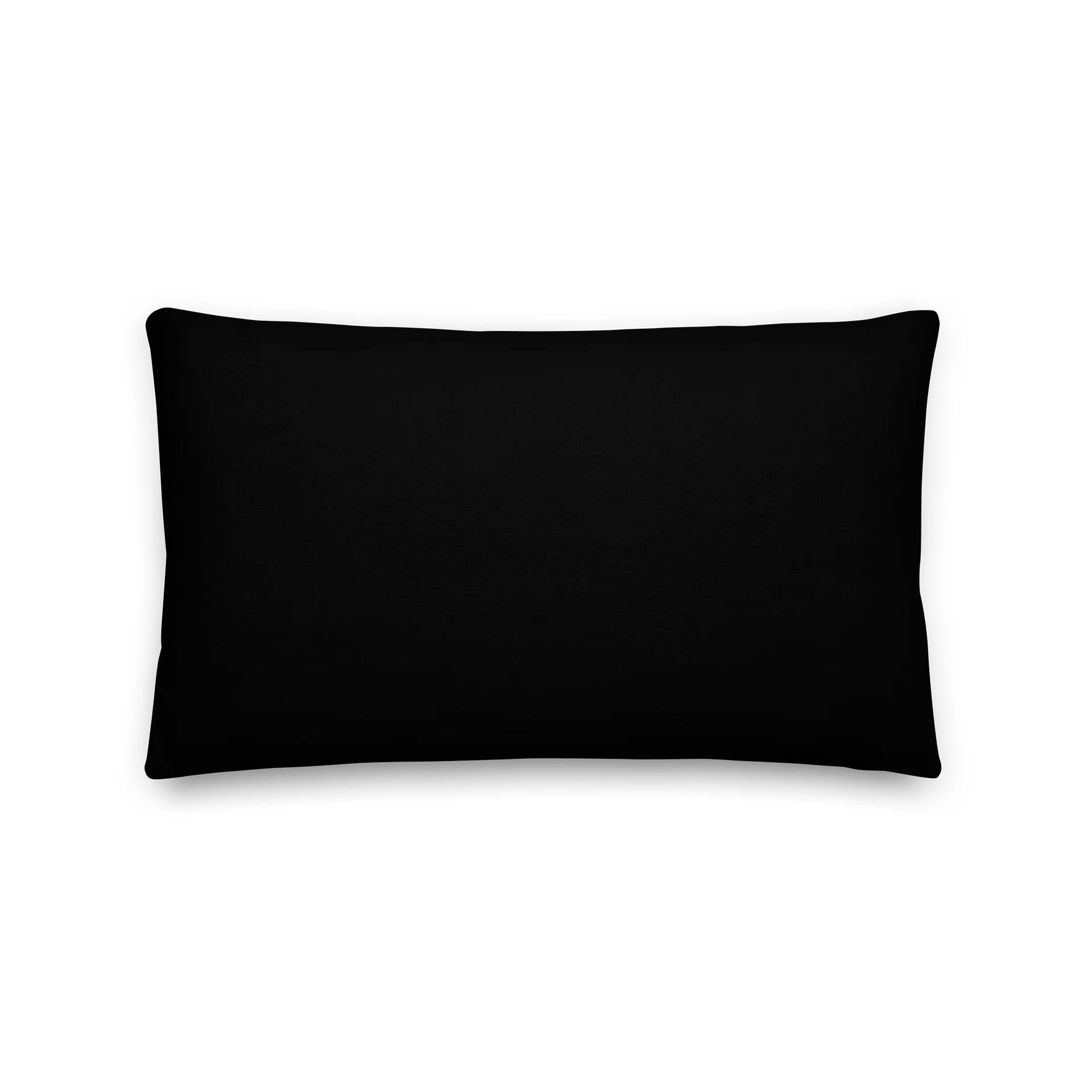 Lizette pillow product image (5)