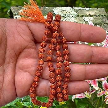 5 Mukhi Rudraksha Mala product image (1)