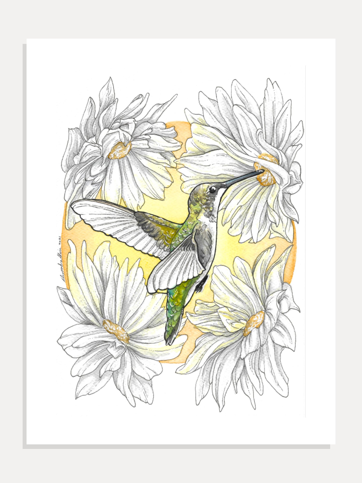 Hummingbird Giclée Art Print product image (1)