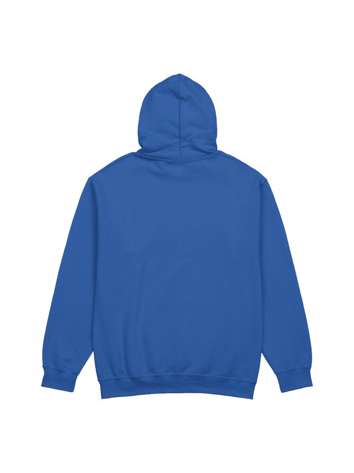 PSC "Say Cheese" Hoodie (Gold Logo) product image (16)