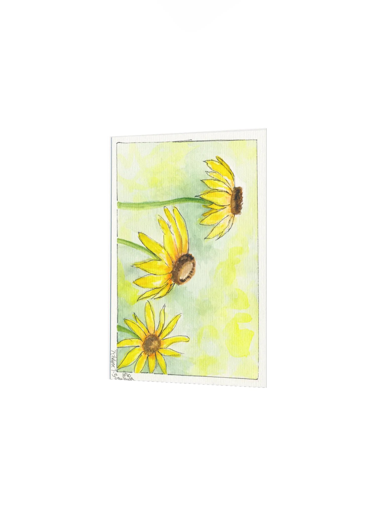 Yellow Cornflowers Print product image (2)
