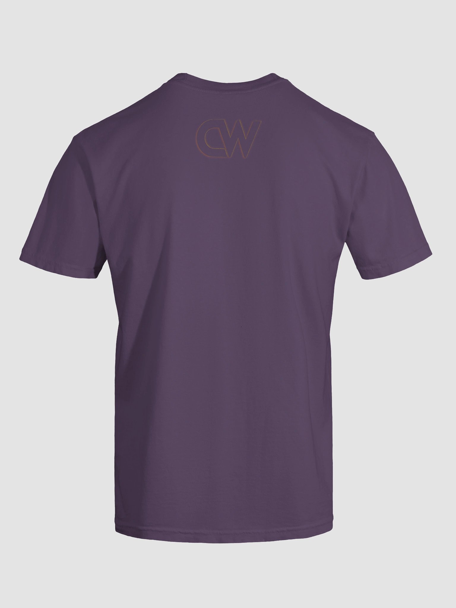 🔥 FIRESIDE Comfort Heavyweight Tee product image (10)