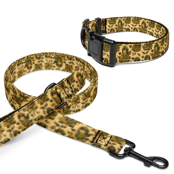 Mel’s Angels Retro Dog Collar & Leash Set – Vintage Pin-Up Pattern with Paw Prints, Hearts & Wings (Adjustable, Durable Pet Walking Gear) product image (1)