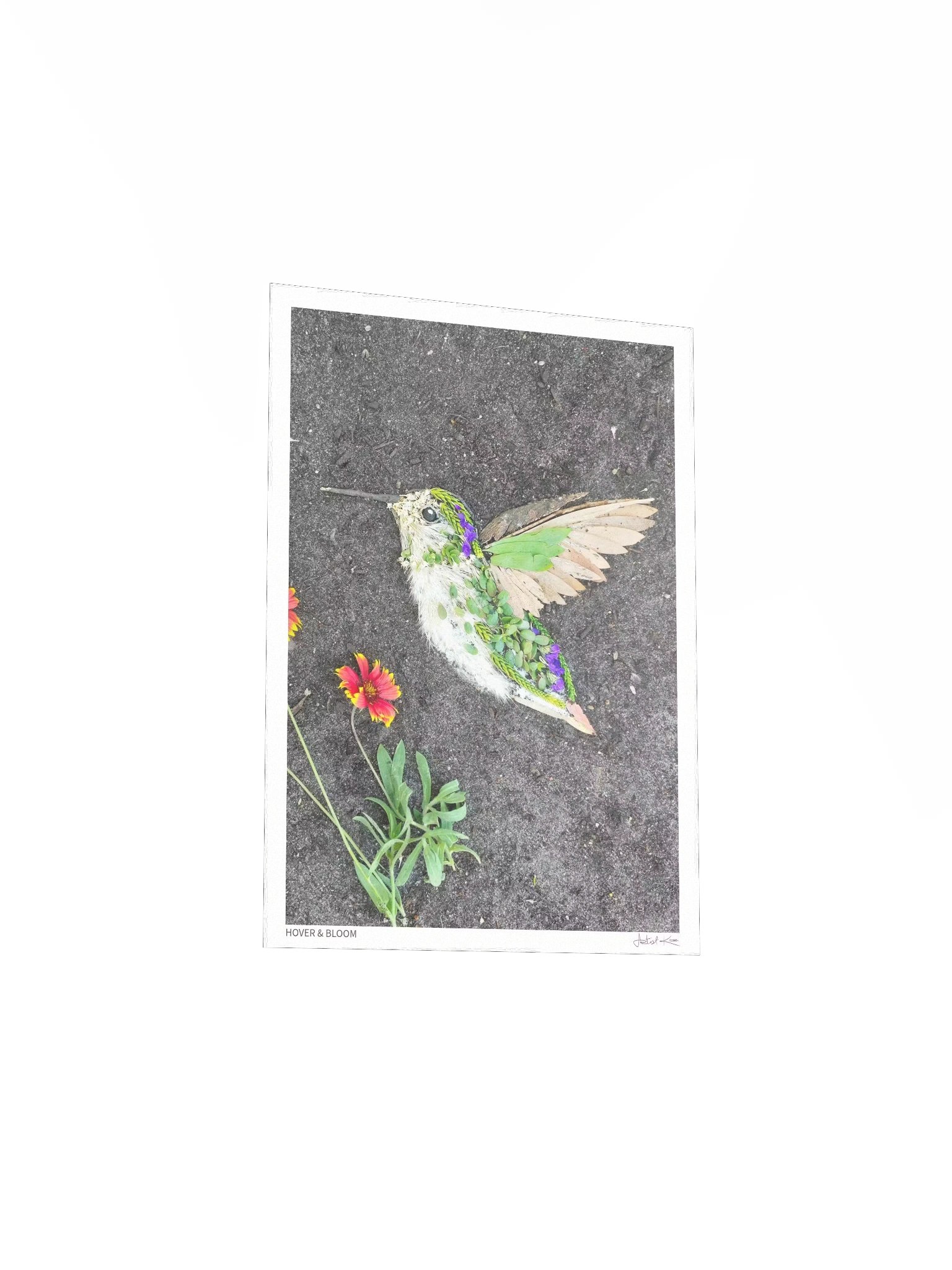 HOVER & BLOOM | Fine Art Print product image (4)