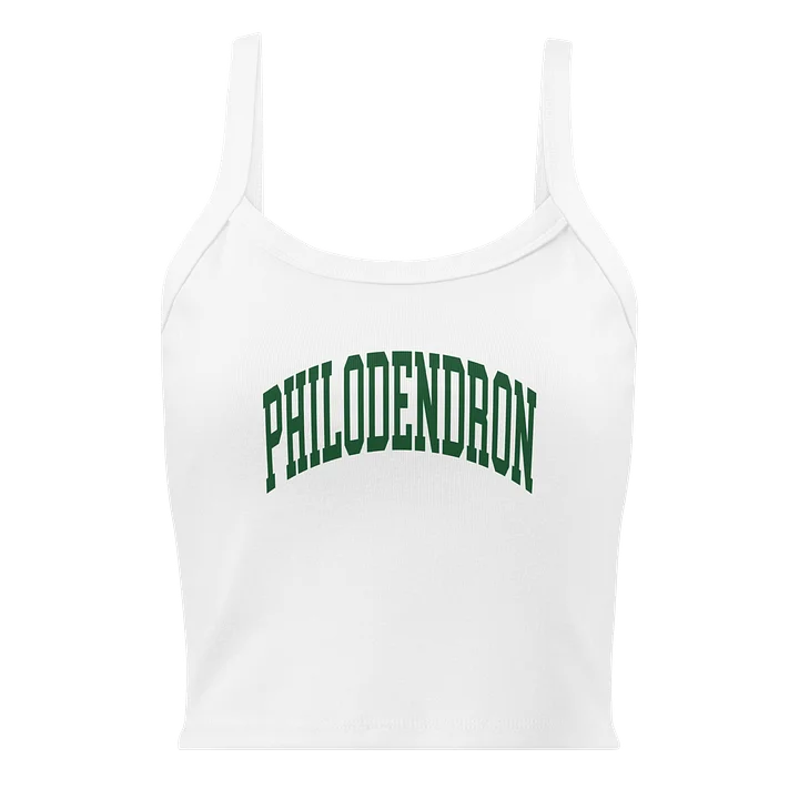 PHILODENDRON VARSITY - Mid-Length Tank product image (5)