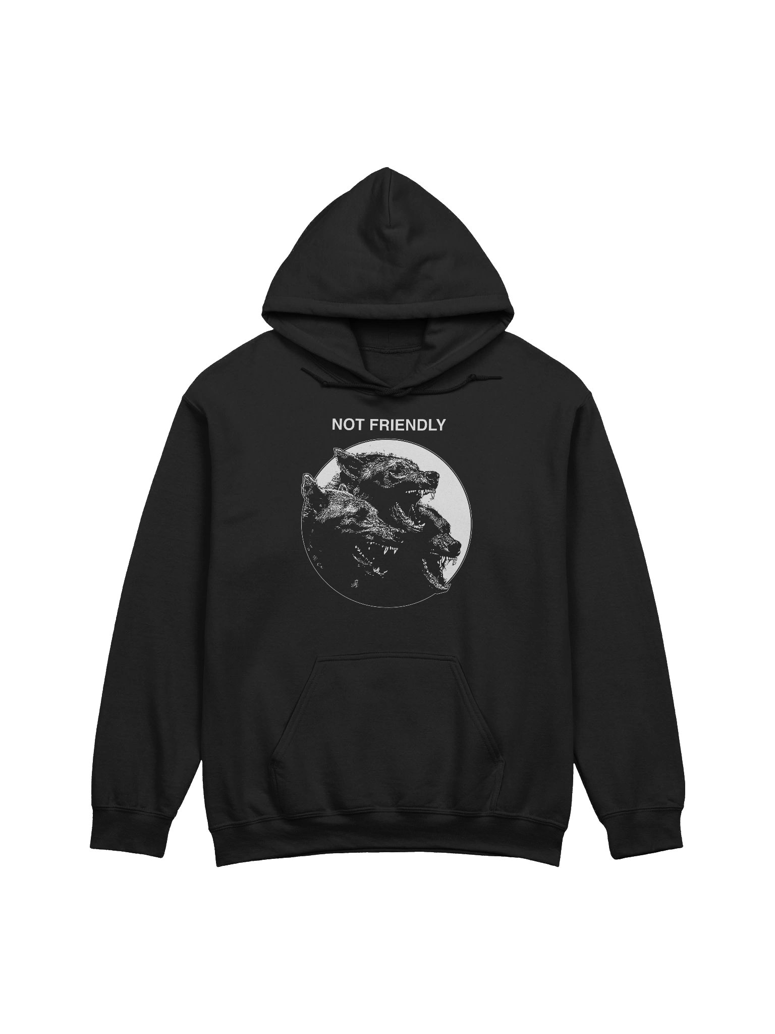 NOT FRIENDLY - Hoodie product image (1)