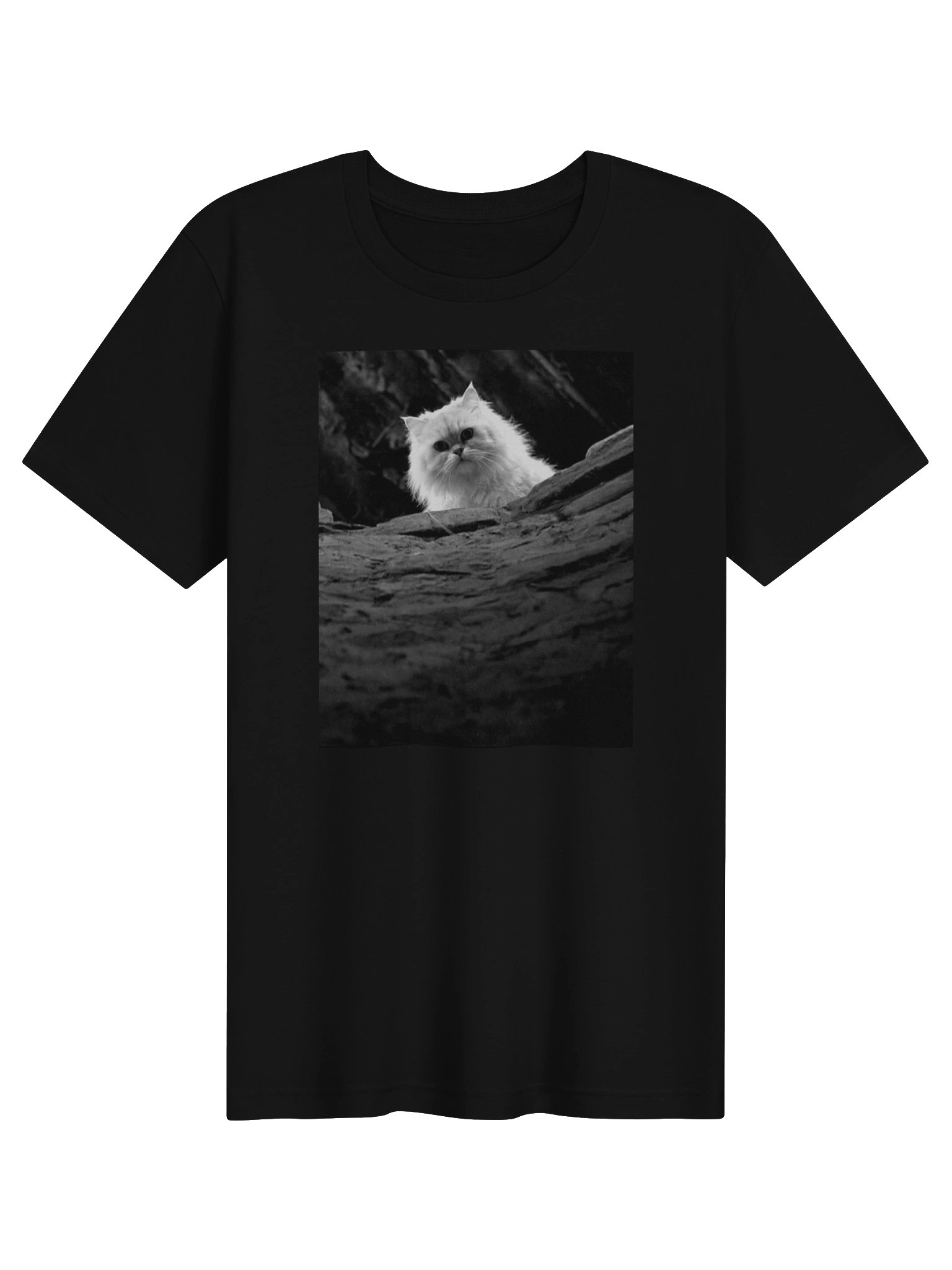 The Silence Of The Cat product image (1)