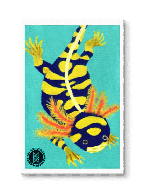 Gone Fission June Banded Axolotl Canvas Print product image (7)