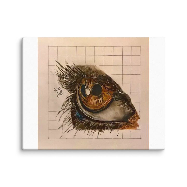 Eye Drawing Canvas product image (3)