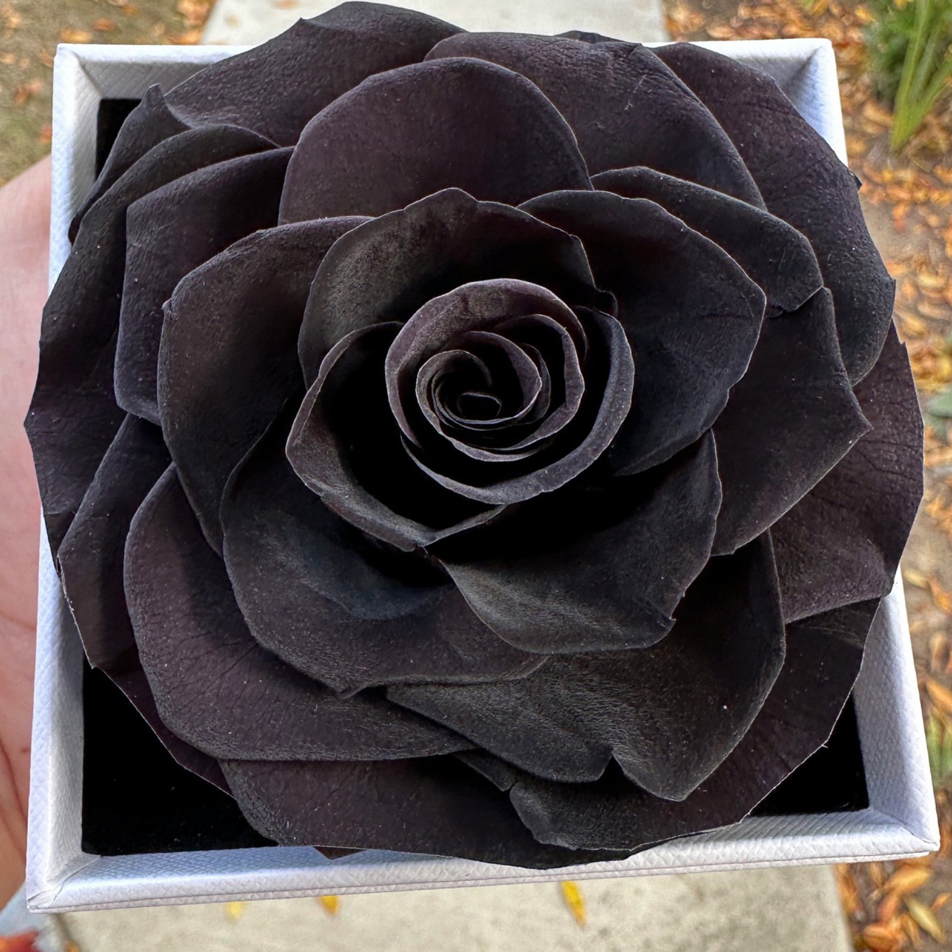 Eternal Rose Gift Box with "I Love You" Necklace – 100 Languages product image (2)