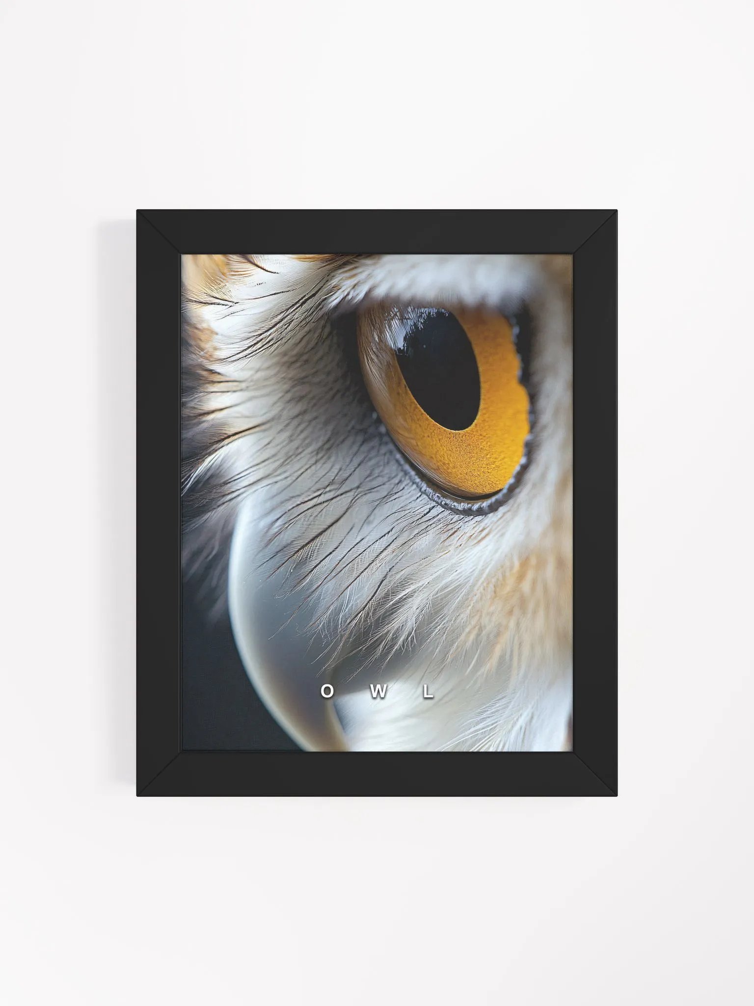Owl's Eye Matte Poster product image (41)