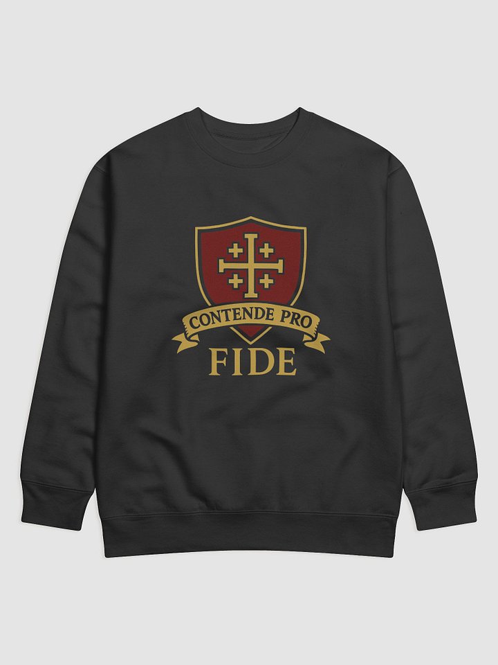 CPF sweatshirt product image (4)