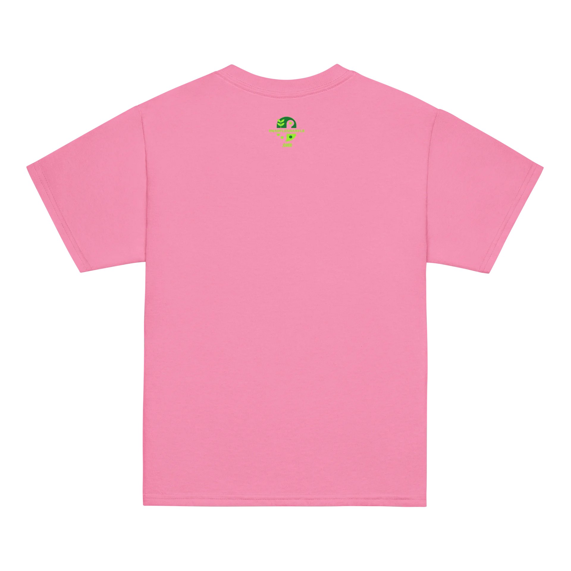 Mama's Favorite Little Sauropod - Kids Dinosaur Shirt product image (58)