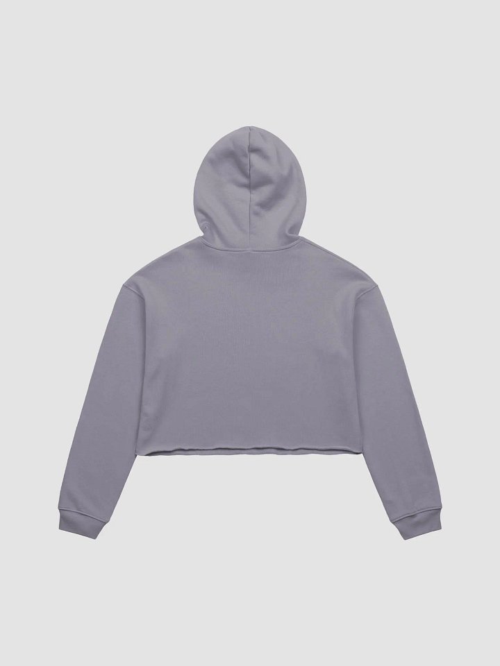 Patched Up Cropped Hoodie product image (2)