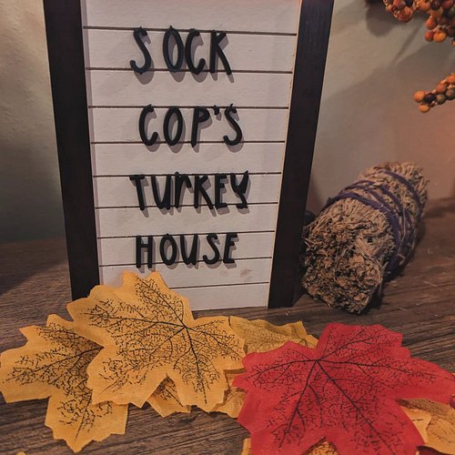 Happy Thanksgiving, America