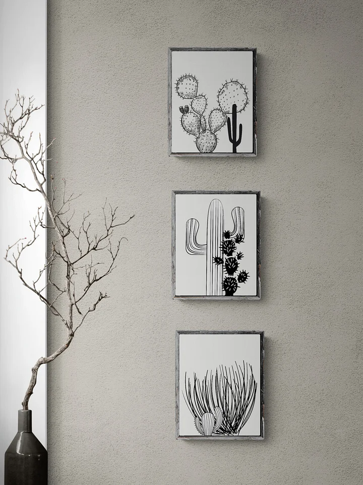 3 Digital Black And White Cactus Prints, Coastal Wall Art product image (2)