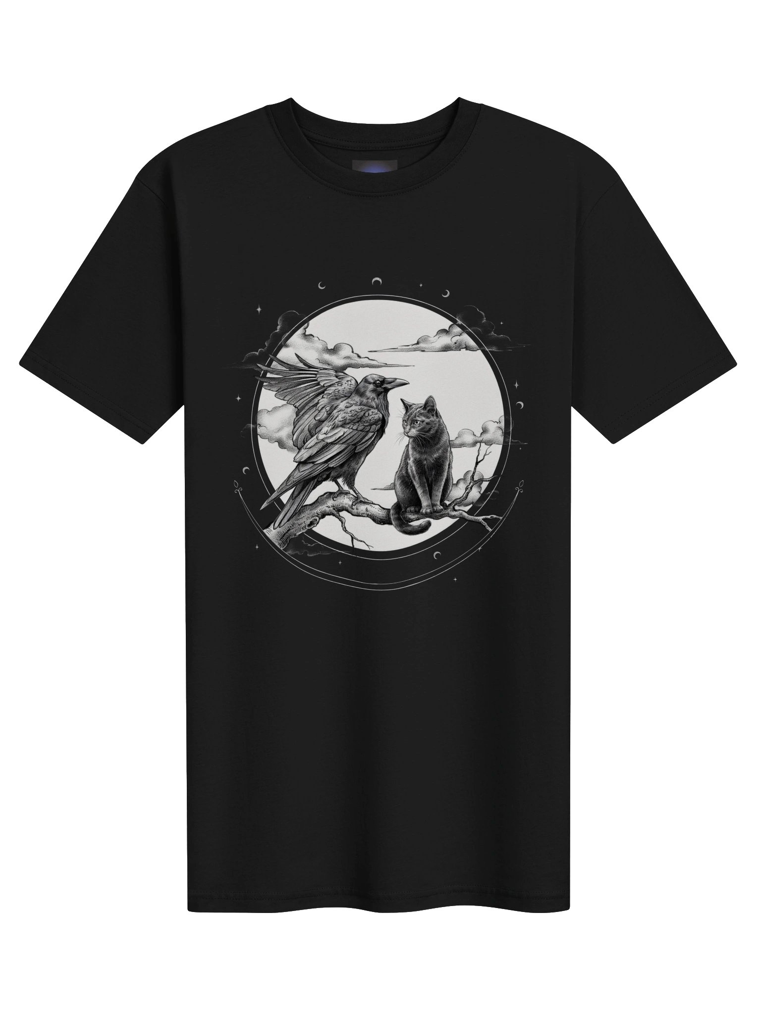 The Midnight Secret // Raven & Familiar Heavyweight Tee product image (3)