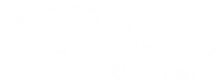 Pilson Guitars - Shop