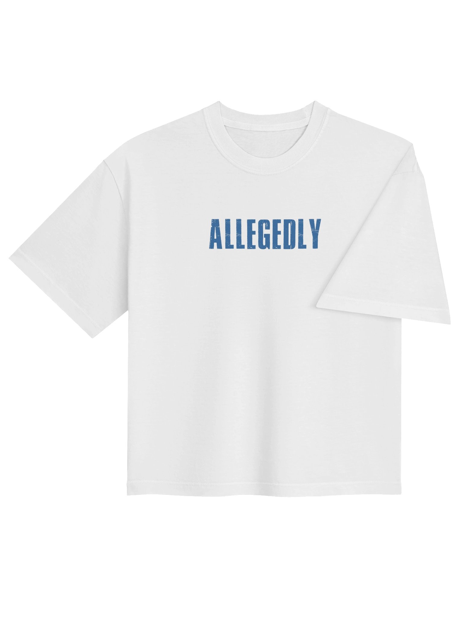 ALLEGEDLY product image (4)