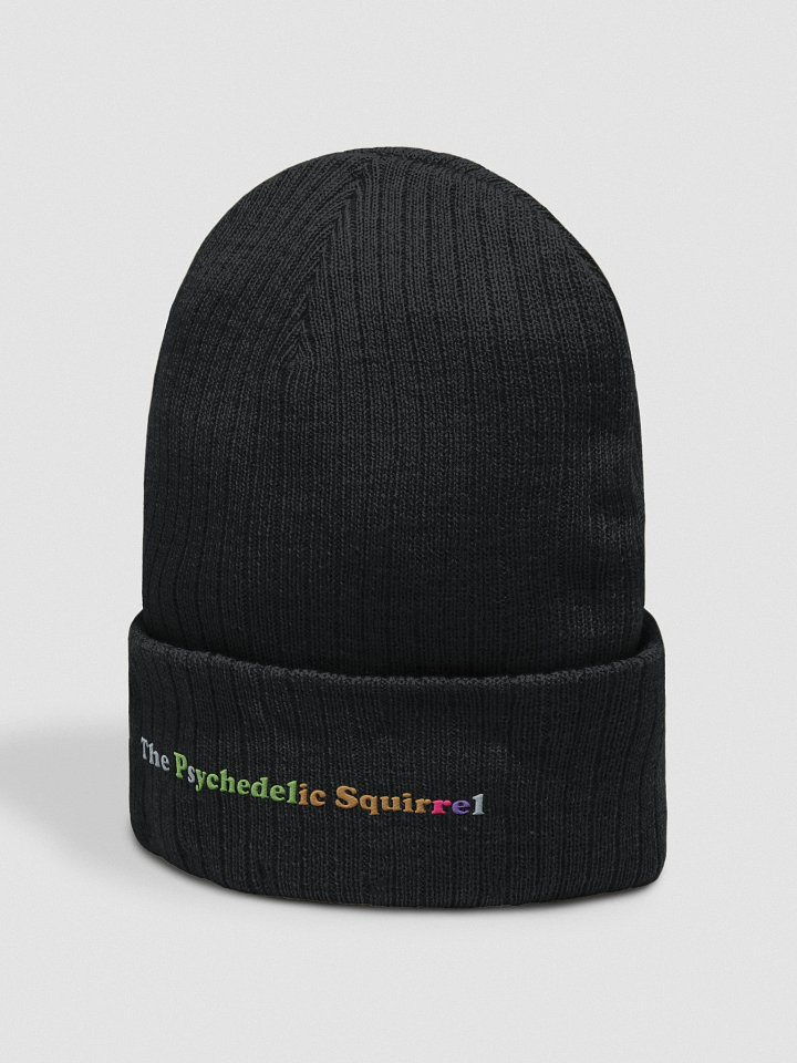 The Psychedelic Squirrel Beanie Words product image (2)