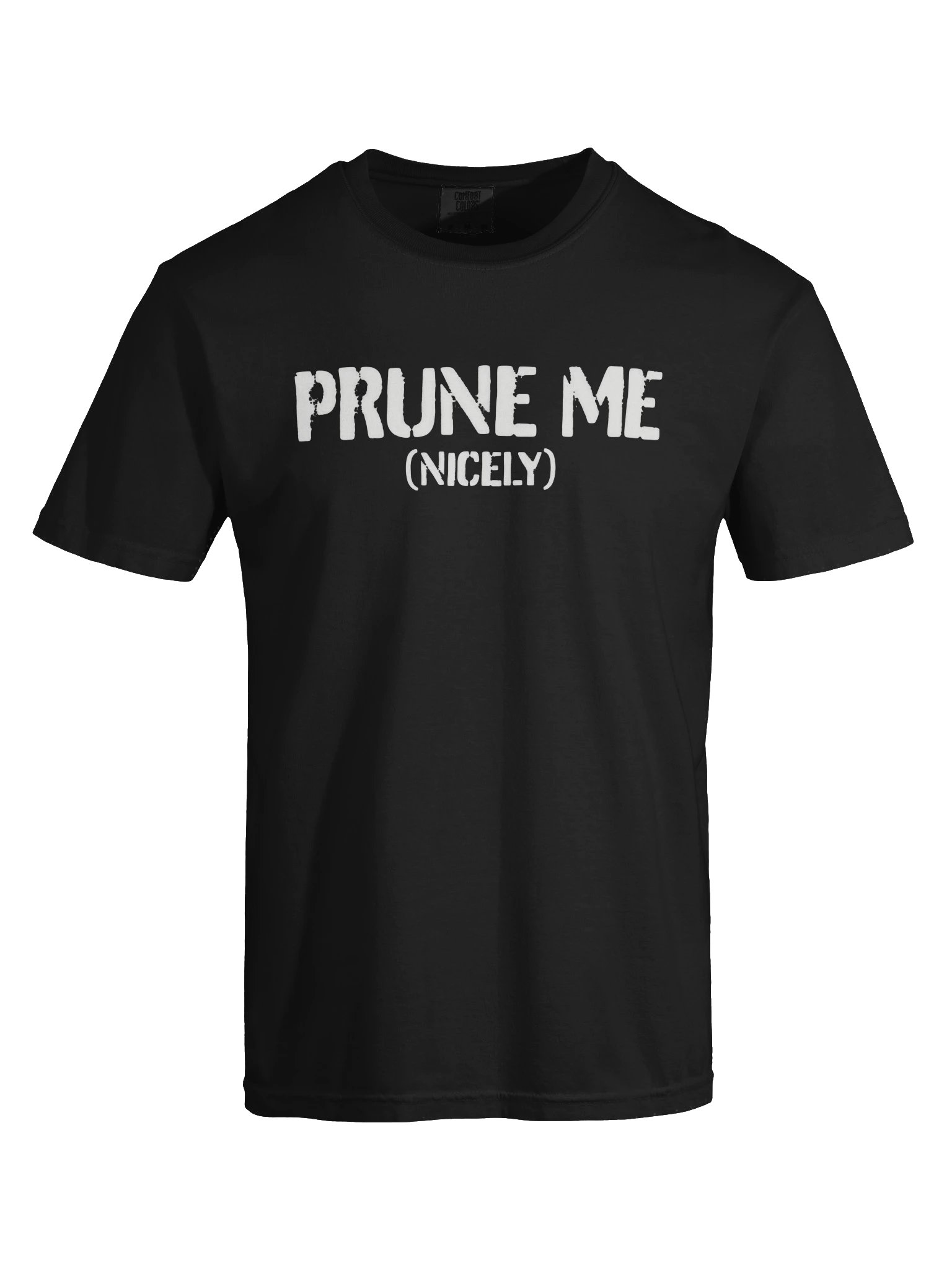 Prune Me (Nicely) Stencil Tee product image (36)