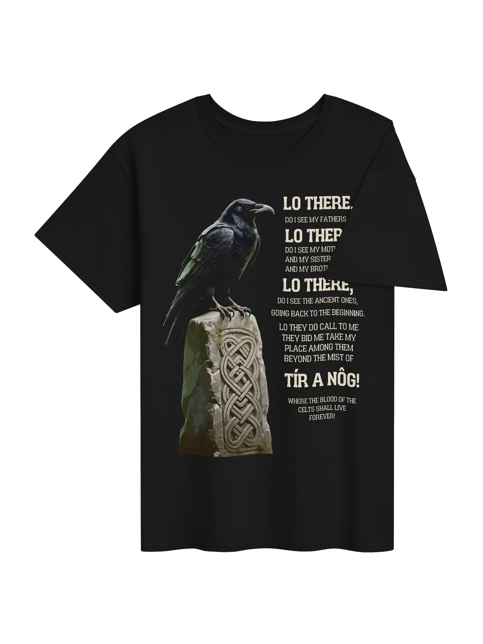 Tír A Nóg Celtic Raven Graphic Tee product image (4)