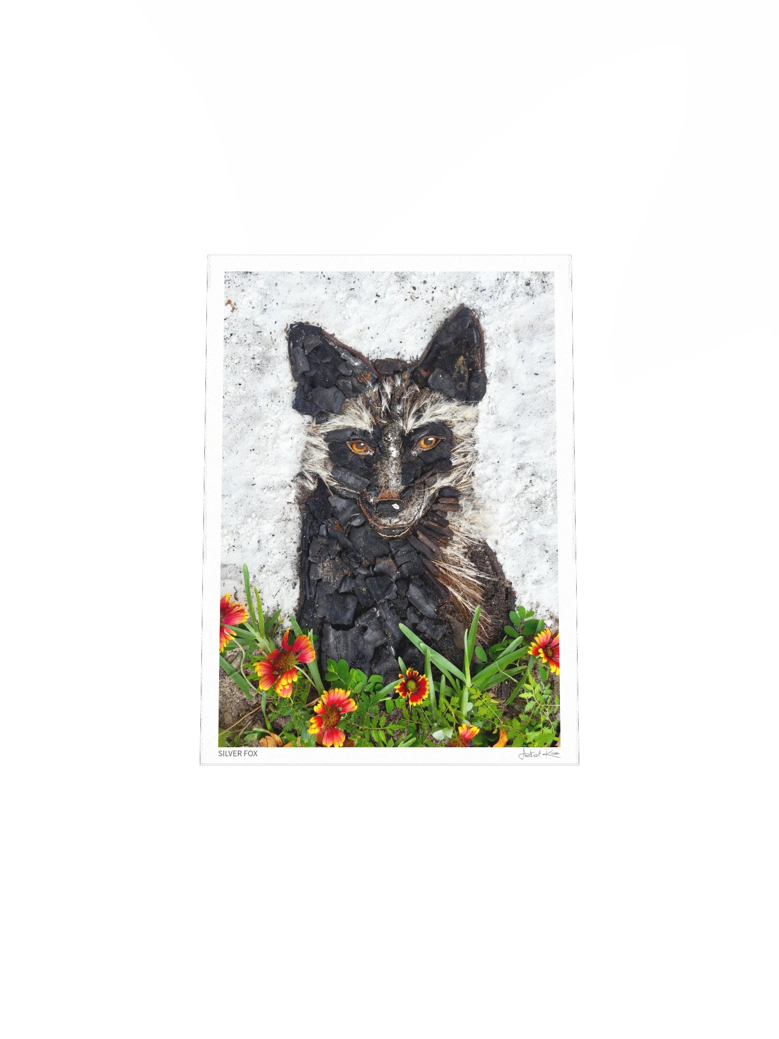 SILVER FOX | Fine Art Print product image (5)