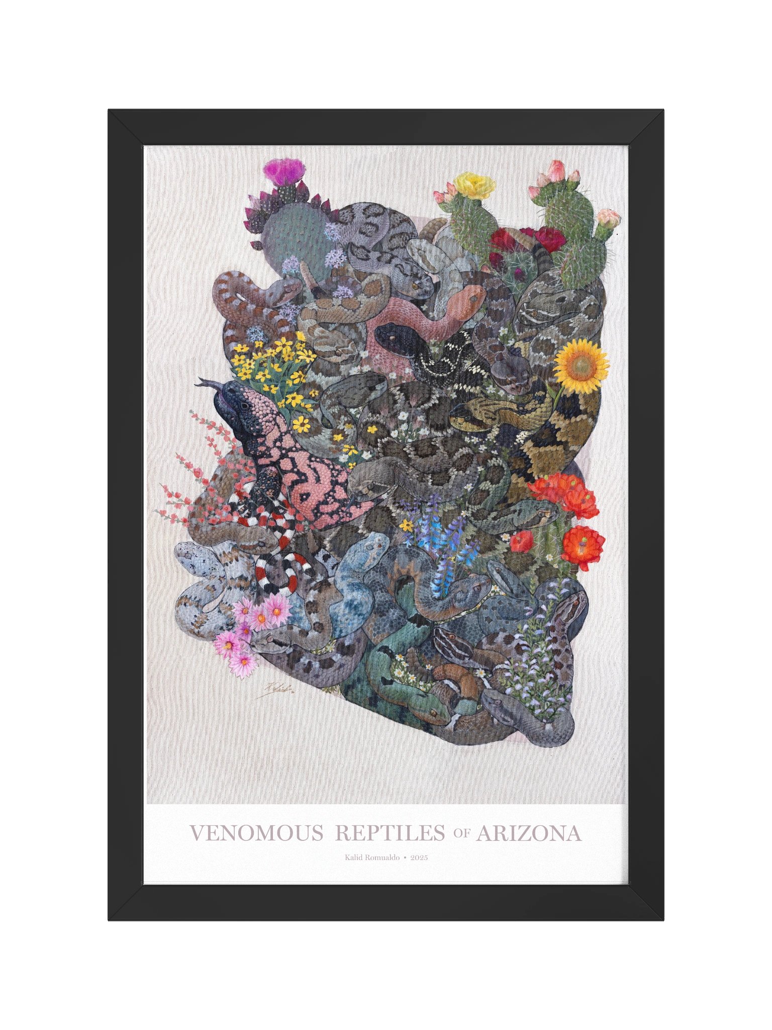 Framed Print – Venomous Reptiles of Arizona product image (1)